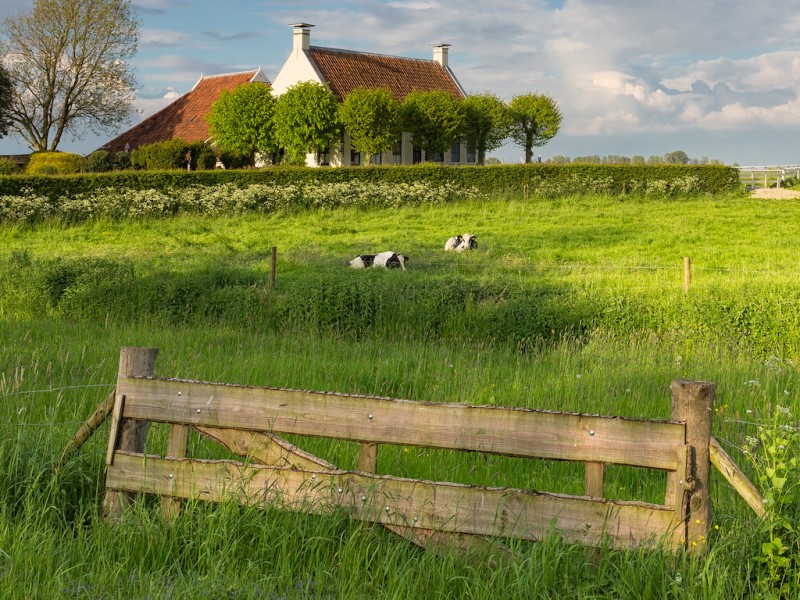 Consortium wil laatste 20.000 huishoudens aansluiten op breedband